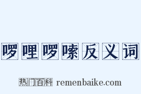啰哩啰嗦反义词是什么意思的图片